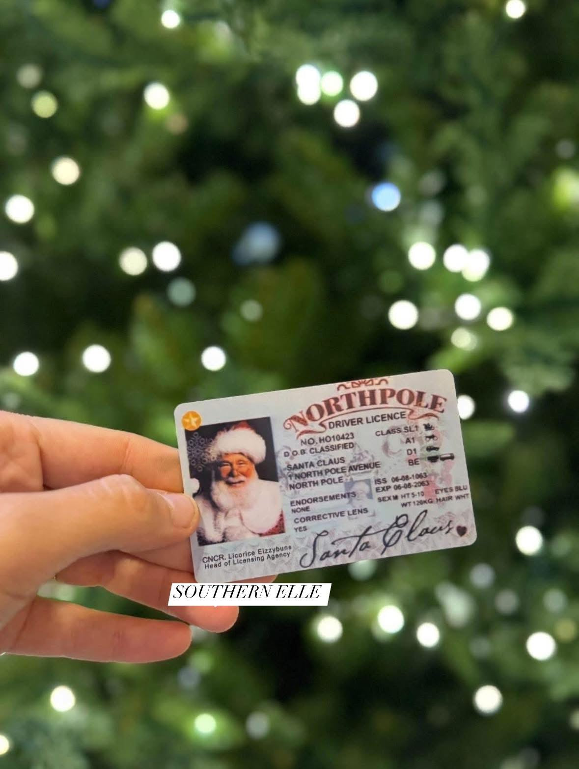 Santa License